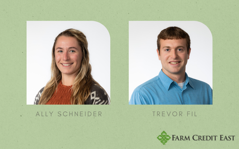 Two employee profile pictures, Ally Schneider and Trevor Fil, on a green background