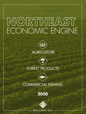 2020 Northeast Economic Impact Report Cover