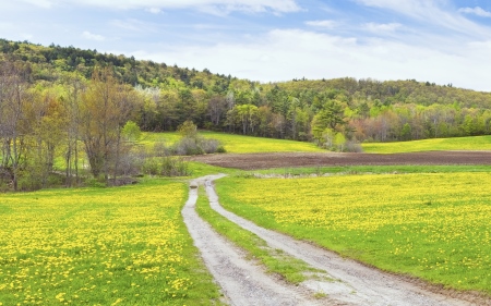 A guide to financing rural property in the Northeast