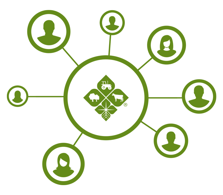 Green co-op visualization graphic of Farm Credit East’s logo centered with varying shoots coming out from it showing different human icons. 