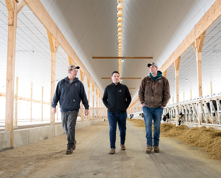 Three men walking in dairy barn.