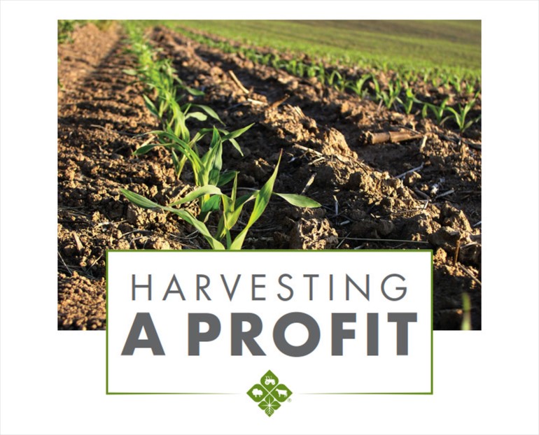 Harvesting A Profit Guide Cover
