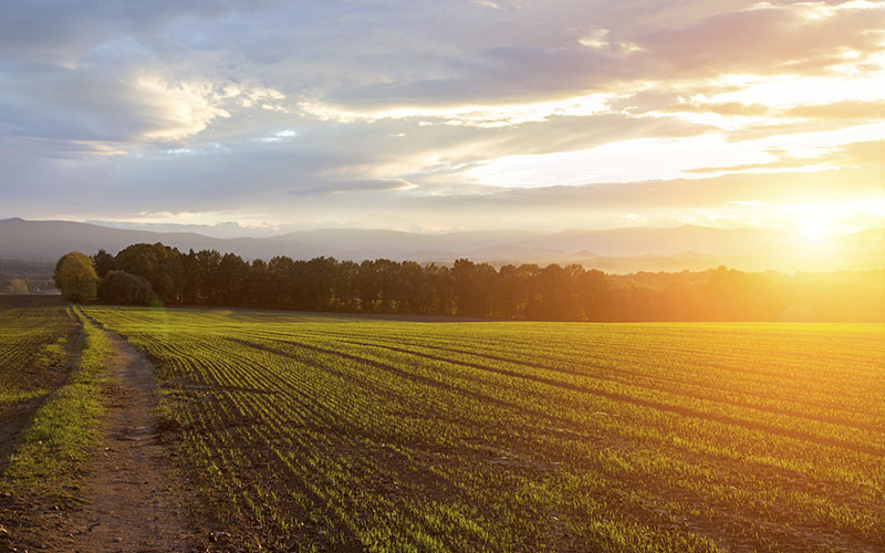 Spring weather update