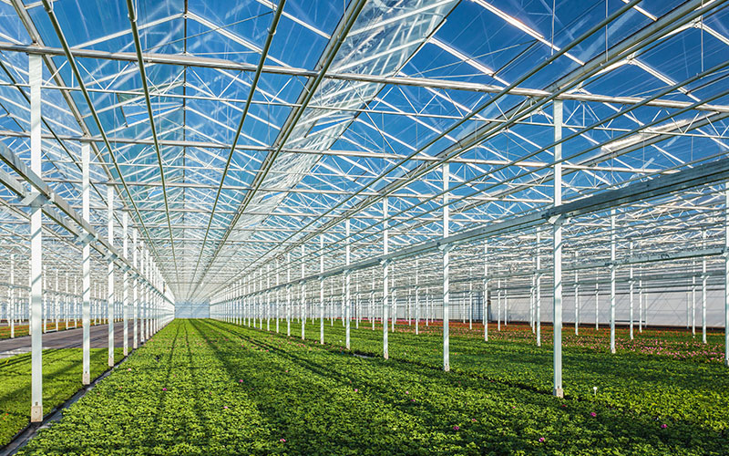 Starting a greenhouse business? Know your mission and how you’ll