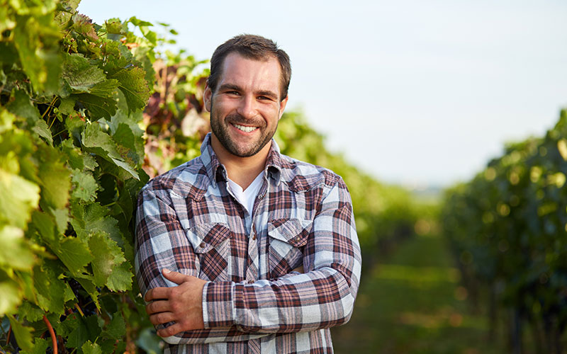 Young man in a plaid shirt with arms crossed standing between two rows of growing grapes
