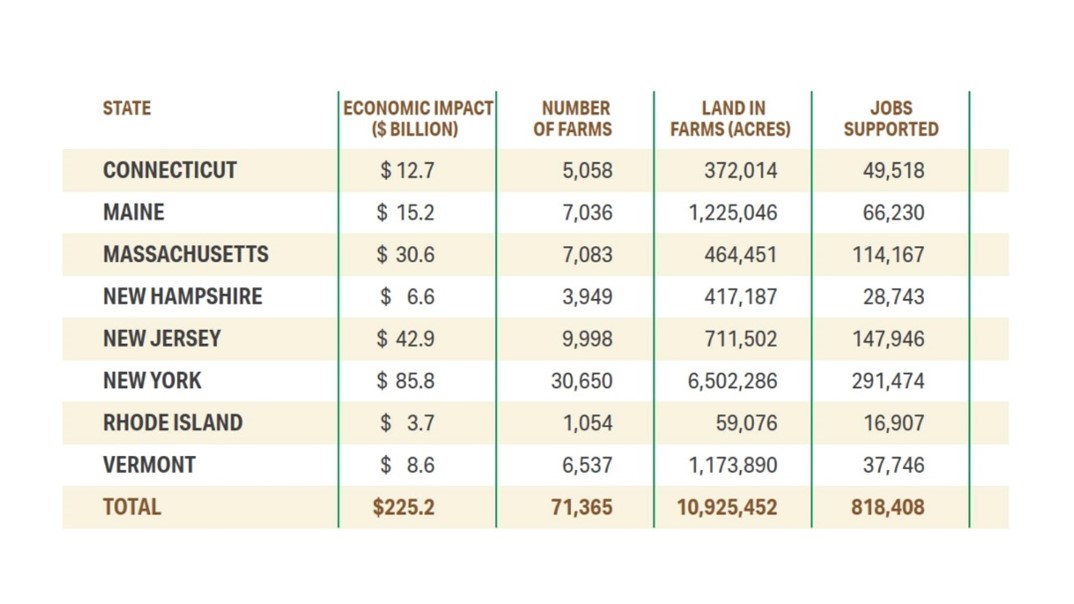 Chart of significant impacts of agriculture, commercial fishing, forestry and food related businesses throughout the Northeast states.