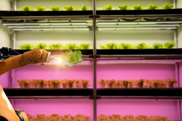 automation robot pick vegetable in greenhouse or precision farm by using artificial intelligence