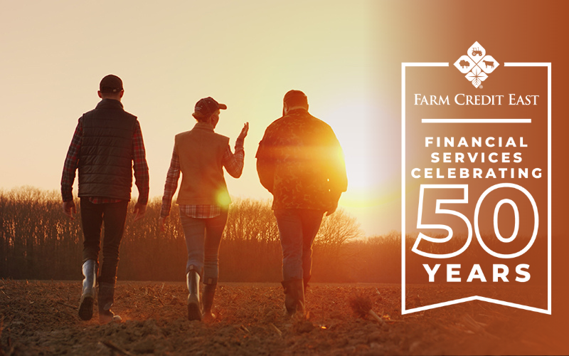 Three adults walking through farm pasture at sunset in silhouette with Farm Credit East Financial Services 50 year logo on right hand side