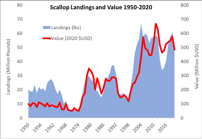 Chart of Scallop Landings and value 1950 to 2020