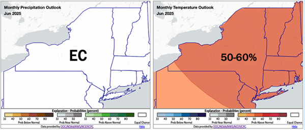 Monthly precipitation and temperature outlook