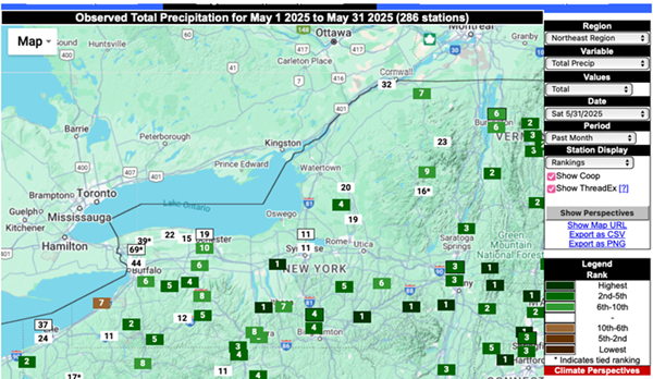 Observed total precipitation for May 2025