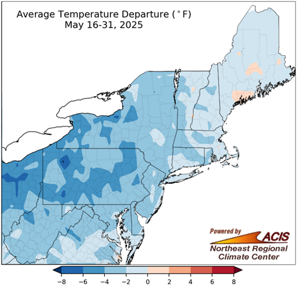 Average temperature departure May 16-31