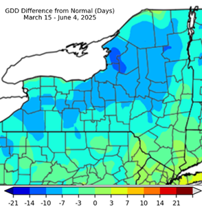 GDD Difference from Normal days