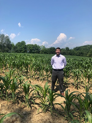 Stephen Clarke checks out the field of corn.