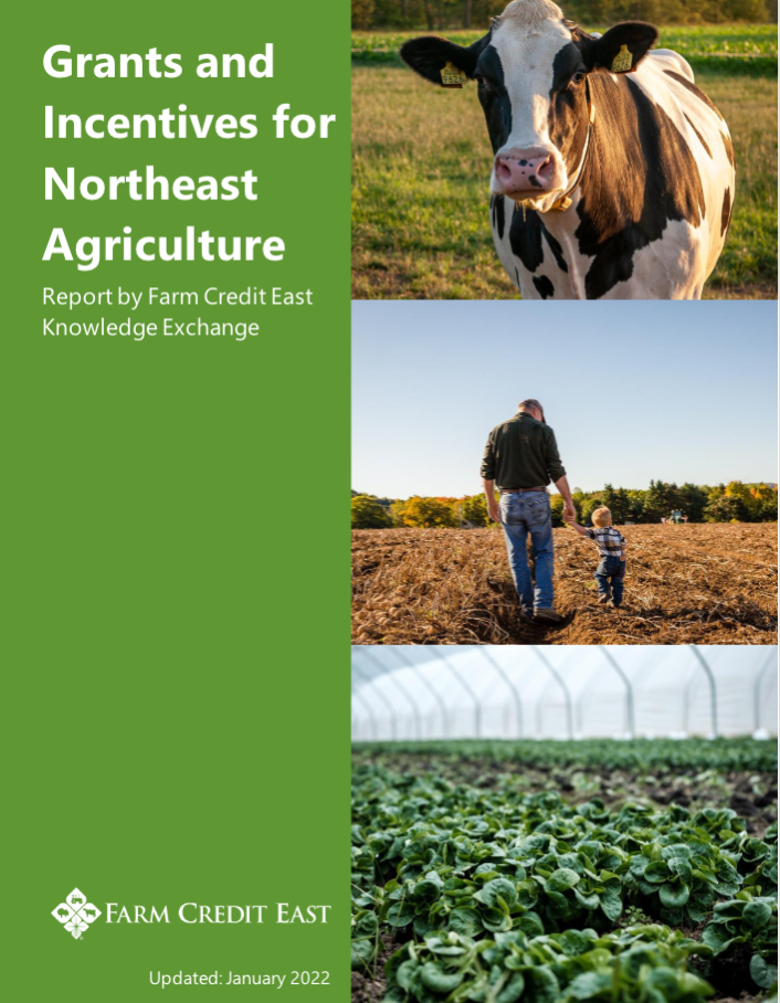 Grants & Incentives Report cover with images of a dairy cow, a farmer holding hands with his baby son and a close-up of a greenhouse crop 