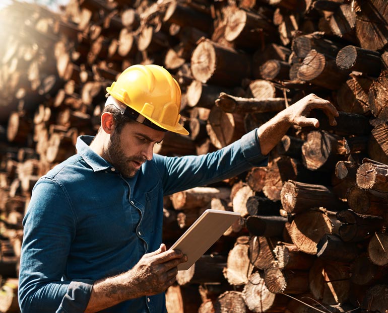 A logger calculating his business’ work output