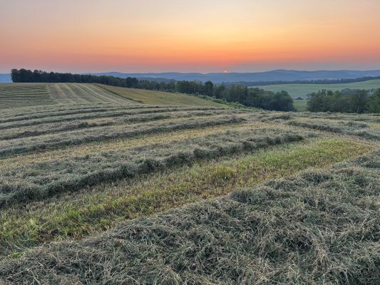 Sunset over a hay field. 