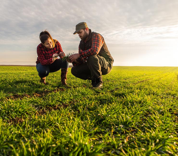 Student with teacher in field examining early-growth crop 
