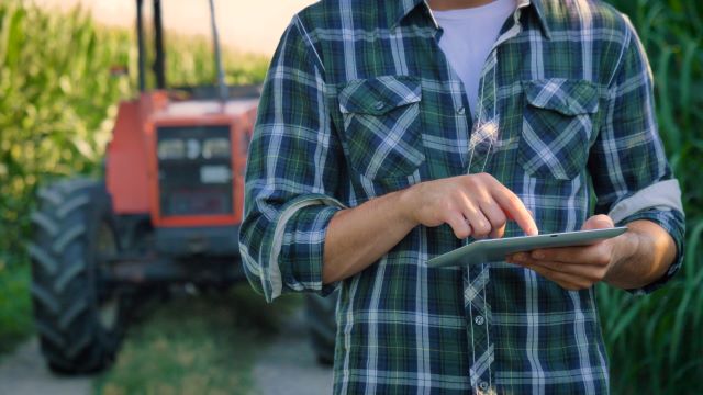 Farmer standing in corn field in front of red tractor using a tablet