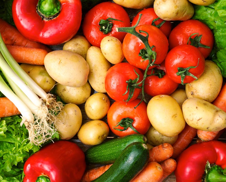 An array of freshly picked vegetables  