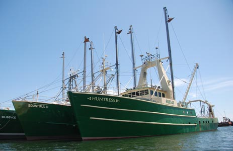 Commercial fishing boats docked in a row 