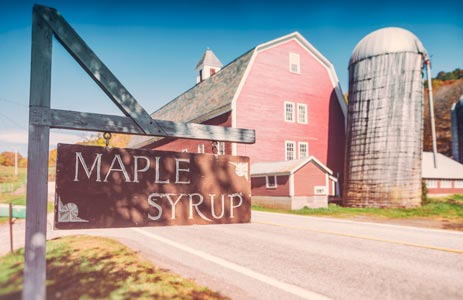 Maple syrup farm in Vermont 