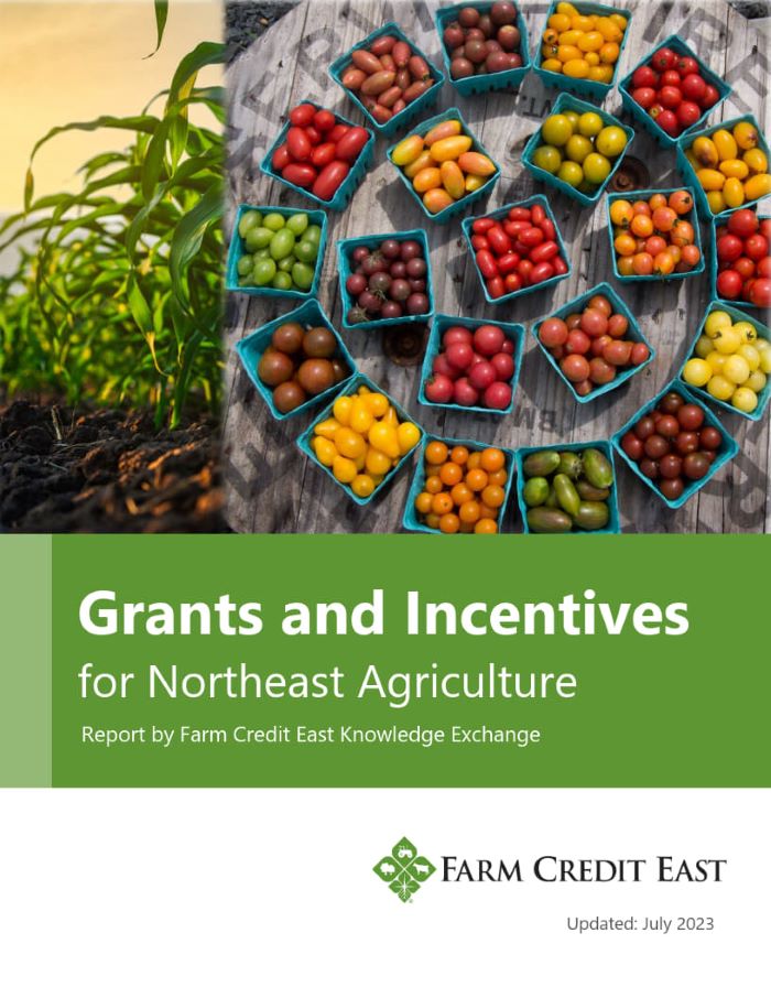 Report cover for 2023 Grants and Incentives for Northeast Agriculture featuring images of corn stalks and colorful tomatoes in containers