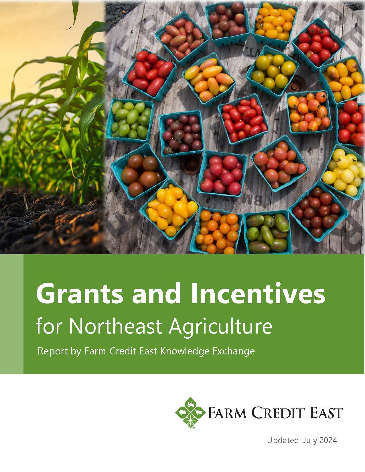 2024 Grants and Incentives for Northeast Agriculture report cover