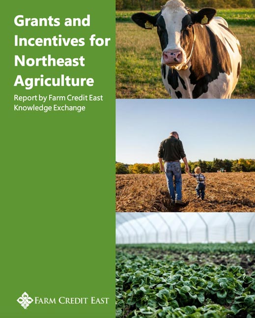 Cover of the Grants & Incentives Report featuring a dairy cow and a farmer and his young son holding hands 