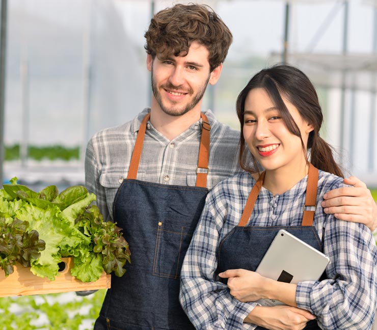 Young man and woman growers in a greenhouse with heads of lettuce 