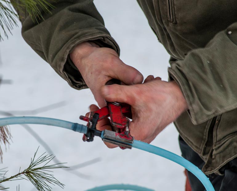 Close-up of man’s hands fixing a maple runner tube 