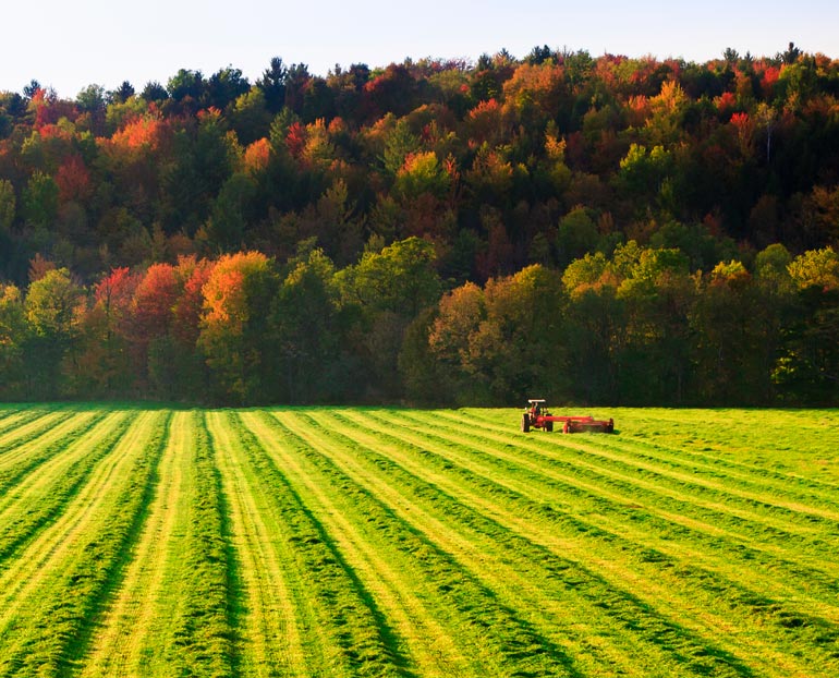 Farm tractor in a field during the fall harvest 