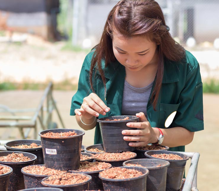 Woman plants seeds in containers  