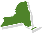 State of New York green outline 