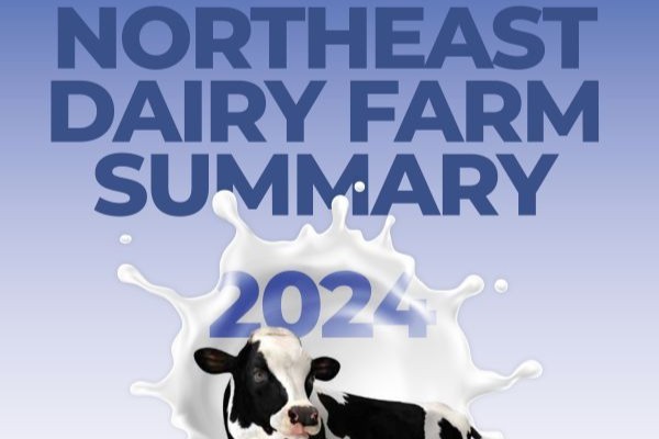 2024