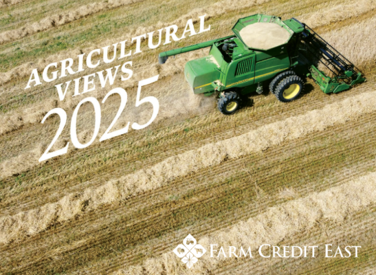 2025