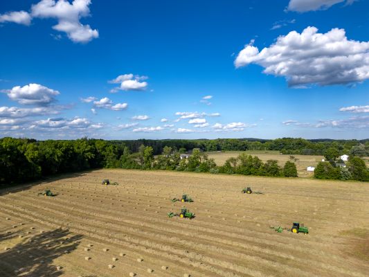 hay field during harvest 