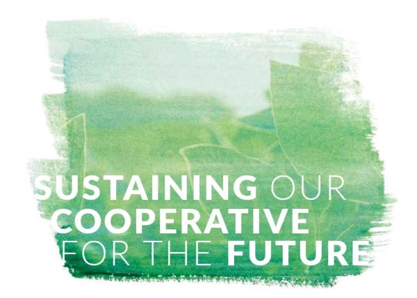 Report cover thumbnail with green and blue watercolor of plant leaves with the title Sustaining Our Cooperative For The Future