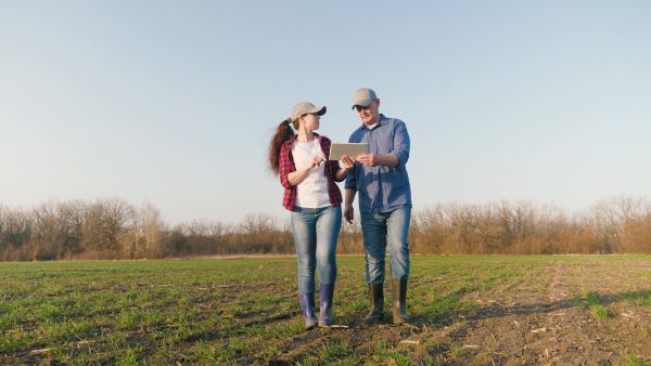 Man and woman walking in rural crop field looking at a tablet