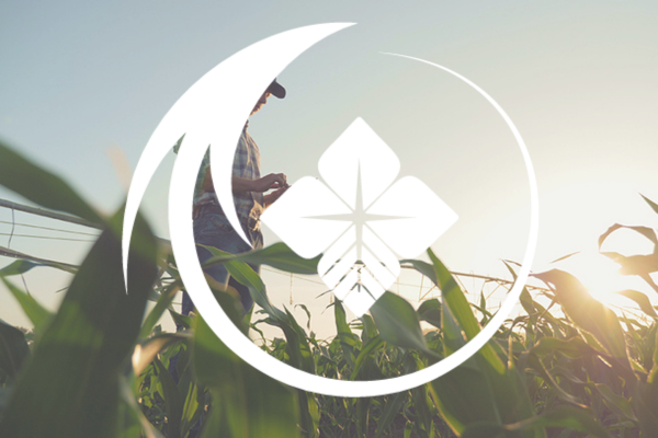 Farm Credit Connect Help Video 