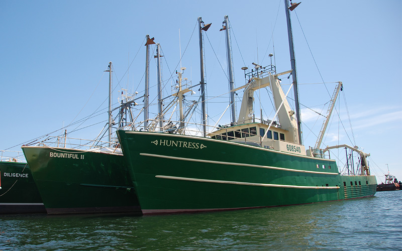 Three large green commercial fishing boats in harbor