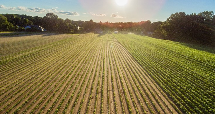 Agricultural