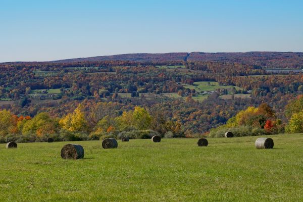 Hay bales in a field in New York 