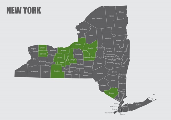 Graphic of New York State and county boundaries in grey with Cayuga, Genesee, Madison, Oneida, Ontario, Orange, Orleans, Oswego, Seneca, Steuben, Wayne and Yates County in green.