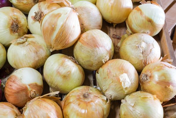 Yellow onions in a crate