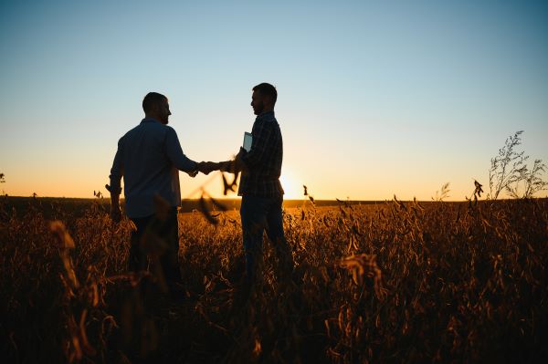 Two farmers in a soybean field at dusk shaking hands