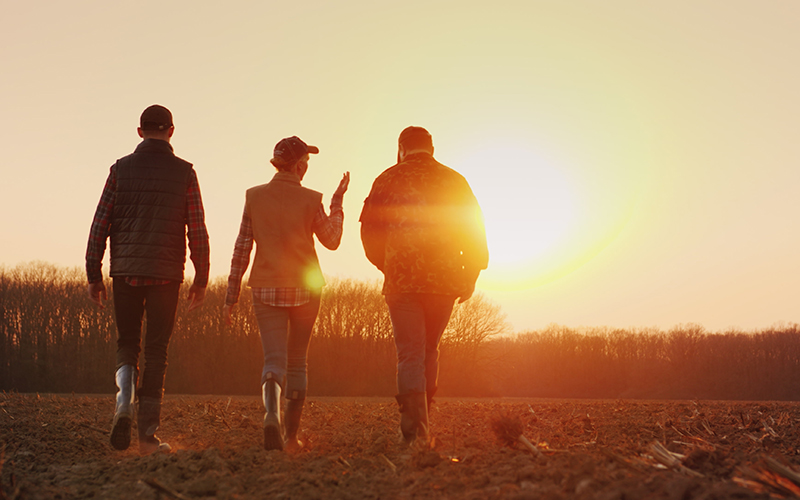 Three people walking in farm field