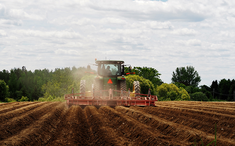 Rear view of a farm working driving a tractor pulling a plow, tilling a field of soil with a small cloud of dust. Green trees in the background on a sunny day with some clouds in the sky.