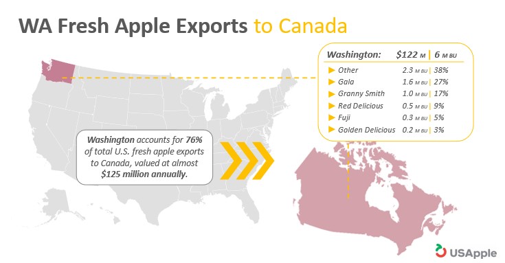 Washington Fresh Apple Exports to Canada
