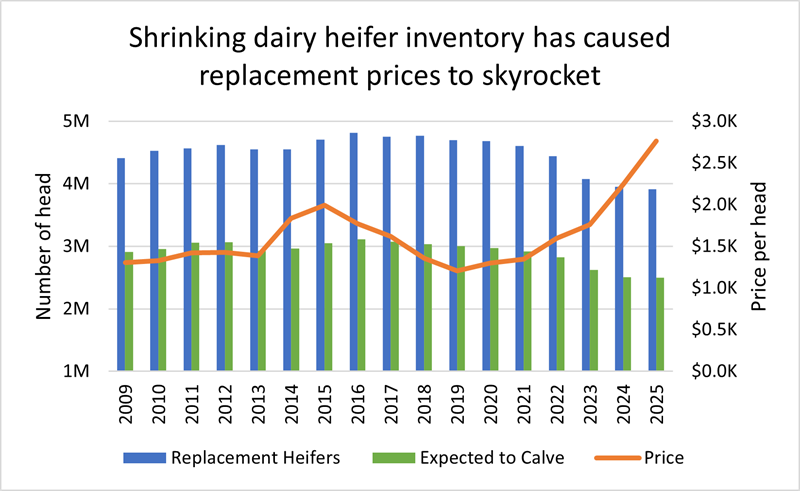 Shrinking dairy heifer inventory has caused replacment prices to skyrocket chart